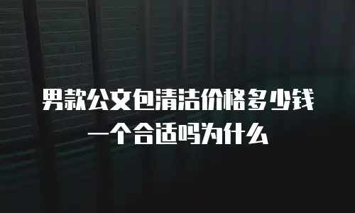 男款公文包清洁价格多少钱一个合适吗为什么