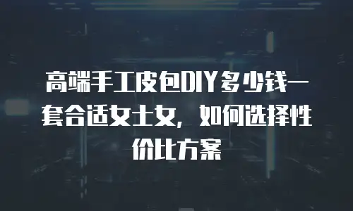 高端手工皮包DIY多少钱一套合适女士女，如何选择性价比方案