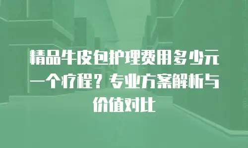 精品牛皮包护理费用多少元一个疗程？专业方案解析与价值对比