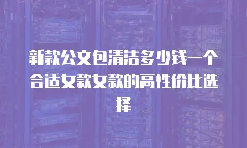新款公文包清洁多少钱一个合适女款女款的高性价比选择