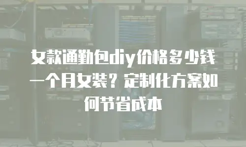 女款通勤包diy价格多少钱一个月女装？定制化方案如何节省成本