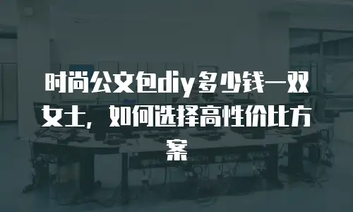 时尚公文包diy多少钱一双女士，如何选择高性价比方案