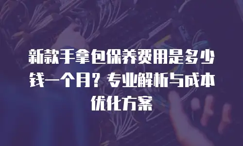 新款手拿包保养费用是多少钱一个月？专业解析与成本优化方案