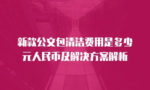 新款公文包清洁费用是多少元人民币及解决方案解析