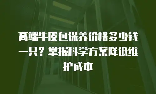 高端牛皮包保养价格多少钱一只？掌握科学方案降低维护成本