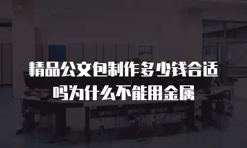 精品公文包制作多少钱合适吗为什么不能用金属