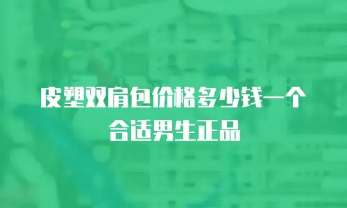 皮塑双肩包价格多少钱一个合适男生正品