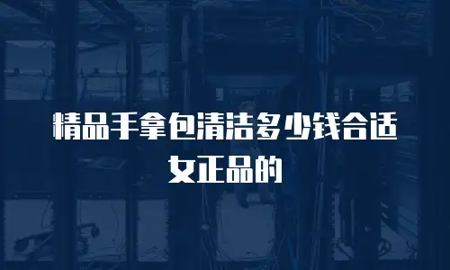 精品手拿包清洁多少钱合适女正品的