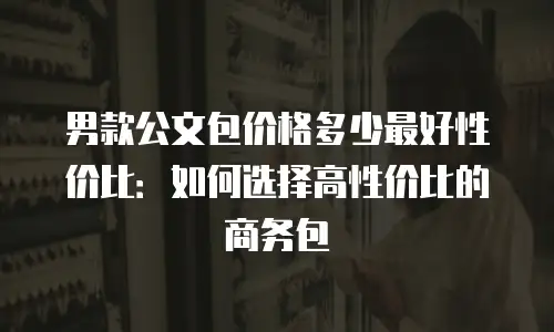 男款公文包价格多少最好性价比：如何选择高性价比的商务包