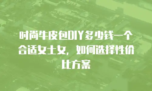 时尚牛皮包DIY多少钱一个合适女士女，如何选择性价比方案