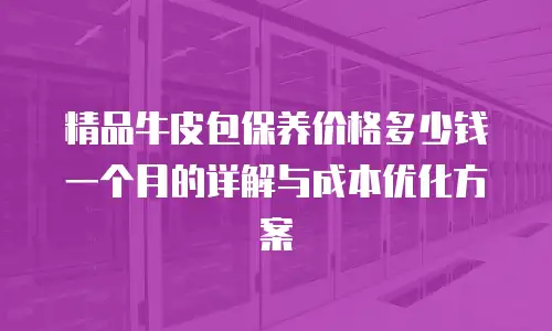 精品牛皮包保养价格多少钱一个月的详解与成本优化方案