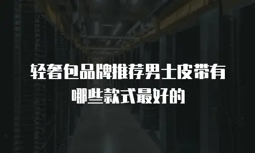轻奢包品牌推荐男士皮带有哪些款式最好的