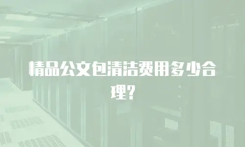 精品公文包清洁费用多少合理？