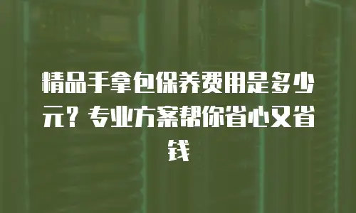 精品手拿包保养费用是多少元？专业方案帮你省心又省钱
