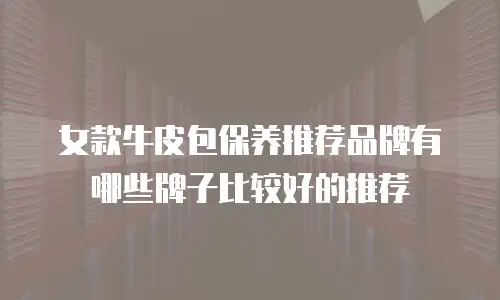 女款牛皮包保养推荐品牌有哪些牌子比较好的推荐