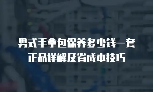男式手拿包保养多少钱一套正品详解及省成本技巧