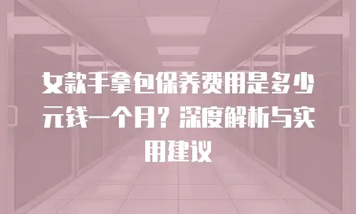 女款手拿包保养费用是多少元钱一个月？深度解析与实用建议