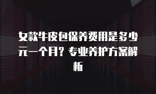 女款牛皮包保养费用是多少元一个月？专业养护方案解析