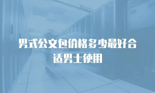 男式公文包价格多少最好合适男士使用