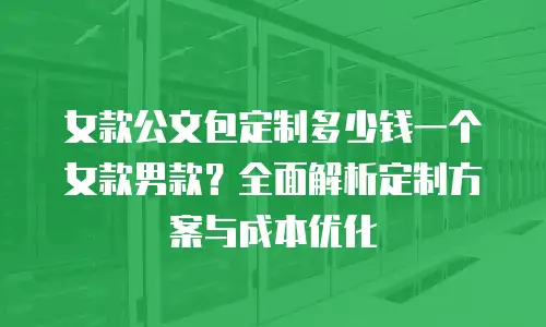 女款公文包定制多少钱一个女款男款？全面解析定制方案与成本优化