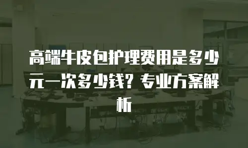 高端牛皮包护理费用是多少元一次多少钱？专业方案解析
