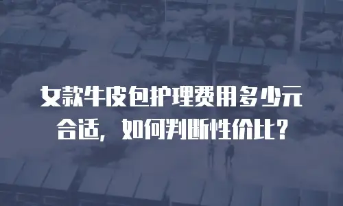 女款牛皮包护理费用多少元合适，如何判断性价比？