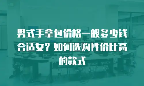 男式手拿包价格一般多少钱合适女？如何选购性价比高的款式