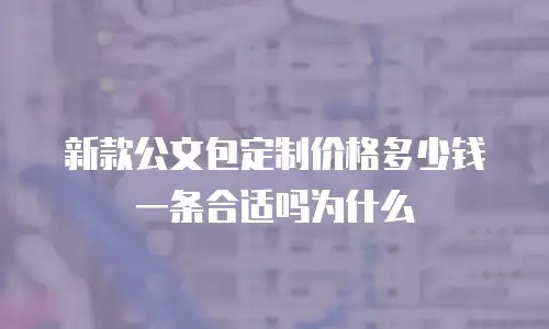 新款公文包定制价格多少钱一条合适吗为什么