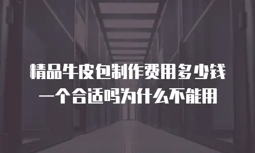精品牛皮包制作费用多少钱一个合适吗为什么不能用