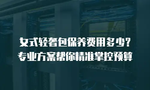 女式轻奢包保养费用多少？专业方案帮你精准掌控预算