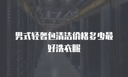 男式轻奢包清洁价格多少最好洗衣服