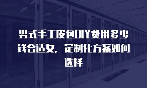 男式手工皮包DIY费用多少钱合适女，定制化方案如何选择