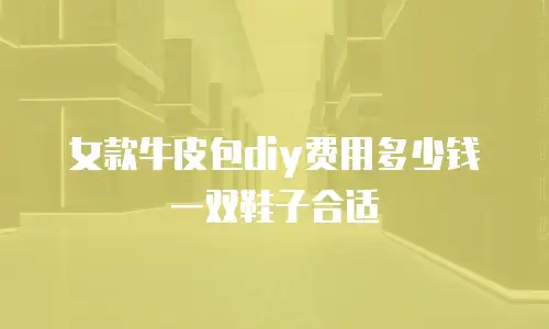 女款牛皮包diy费用多少钱一双鞋子合适