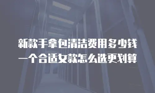 新款手拿包清洁费用多少钱 一个合适女款怎么选更划算