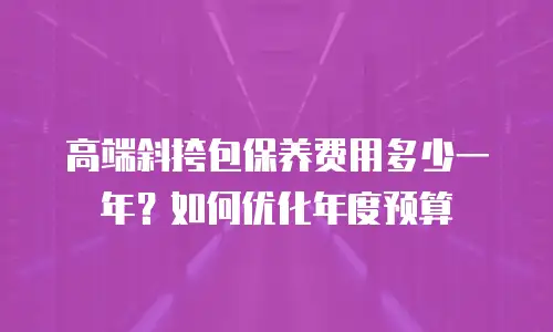 高端斜挎包保养费用多少一年？如何优化年度预算