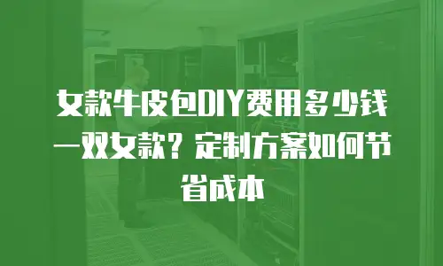 女款牛皮包DIY费用多少钱一双女款？定制方案如何节省成本