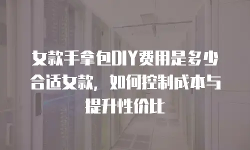 女款手拿包DIY费用是多少合适女款，如何控制成本与提升性价比
