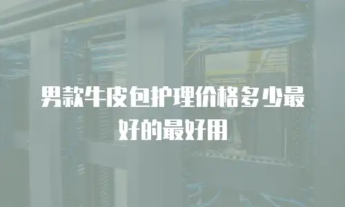 男款牛皮包护理价格多少最好的最好用