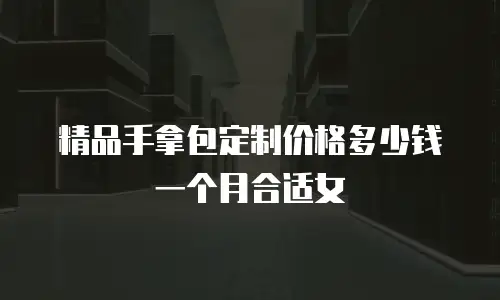 精品手拿包定制价格多少钱一个月合适女