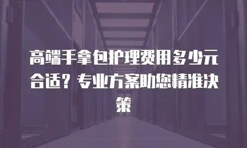 高端手拿包护理费用多少元合适？专业方案助您精准决策