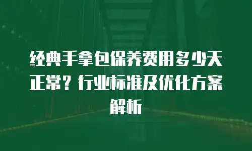 经典手拿包保养费用多少天正常？行业标准及优化方案解析
