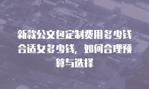 新款公文包定制费用多少钱合适女多少钱，如何合理预算与选择