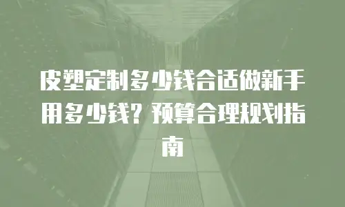 皮塑定制多少钱合适做新手用多少钱？预算合理规划指南