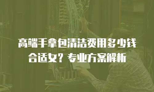 高端手拿包清洁费用多少钱合适女？专业方案解析