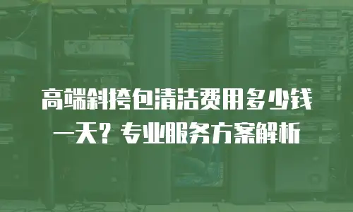 高端斜挎包清洁费用多少钱一天？专业服务方案解析