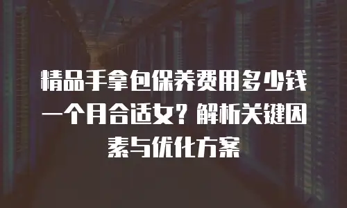 精品手拿包保养费用多少钱一个月合适女？解析关键因素与优化方案