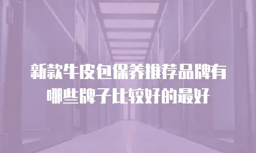 新款牛皮包保养推荐品牌有哪些牌子比较好的最好