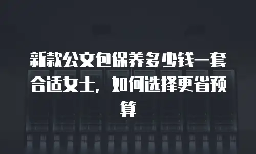 新款公文包保养多少钱一套合适女士，如何选择更省预算