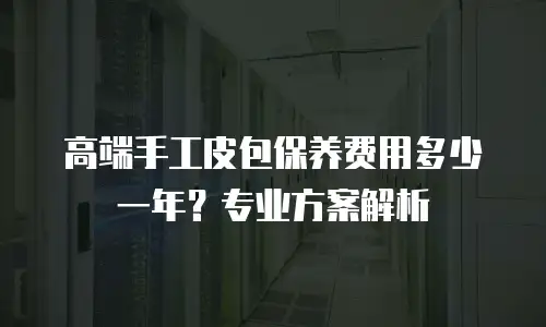 高端手工皮包保养费用多少一年？专业方案解析