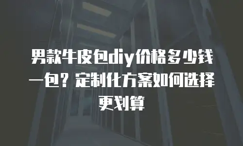 男款牛皮包diy价格多少钱一包？定制化方案如何选择更划算